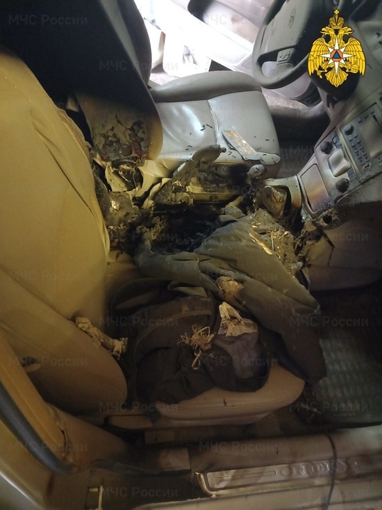 Несколько человек пострадали на пожаре машины в Калужской области