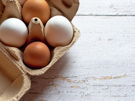 В Ленобласти увеличили производство яиц до 3,5 млрд штук за год