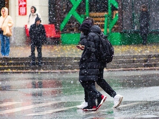Мокрый снег и +4 градуса тепла – погода в Красноярске 3 апреля