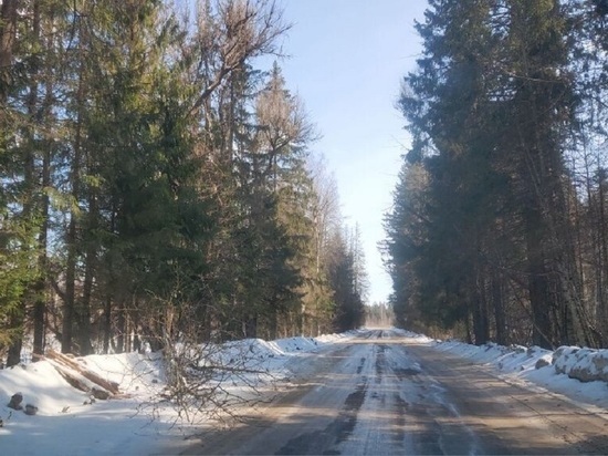 В Тверской области на автомобильной дороге, ведущей в санаторий, неделю лежат деревья