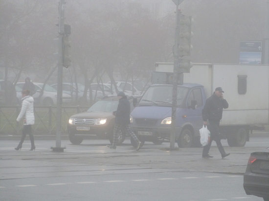Туман и морозы до -7 градусов придут в Петербург в ночь на 3 апреля