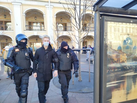 Полиция призвала петербуржцев отказаться от «сидячих» митингов из-за риска обморожений