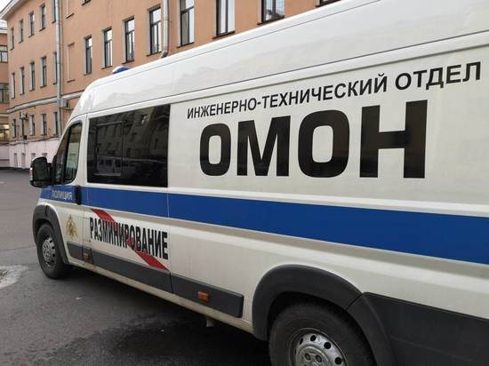 Старый боеприпас обнаружили на берегу реки Лубья в Ленобласти