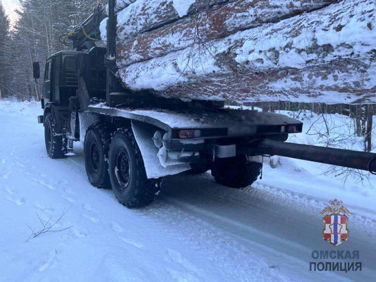 В Омской области оперативники задержали причастного к незаконной рубке лиственницы сельчанина