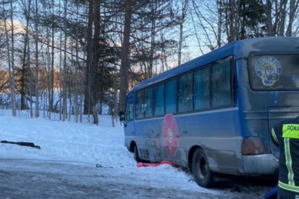 Дети, пострадавшие в аварии в Республике Карелия, возвращаются в  Северодвинск - МК Архангельск