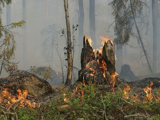 Два лесных пожара выжгли 170 га в Забайкалье