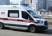 Появились данные о пострадавших в результате автоаварии в Московской области
