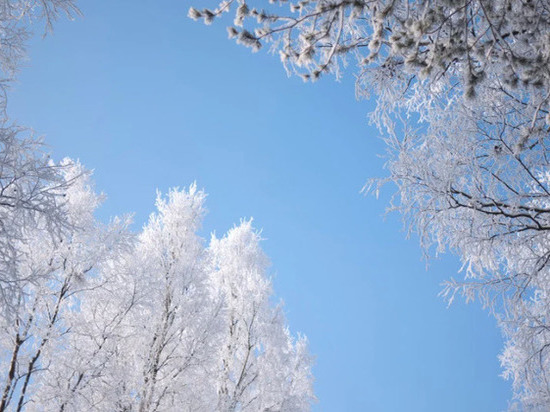 В Мурманской области 5 апреля ожидается сильный снег