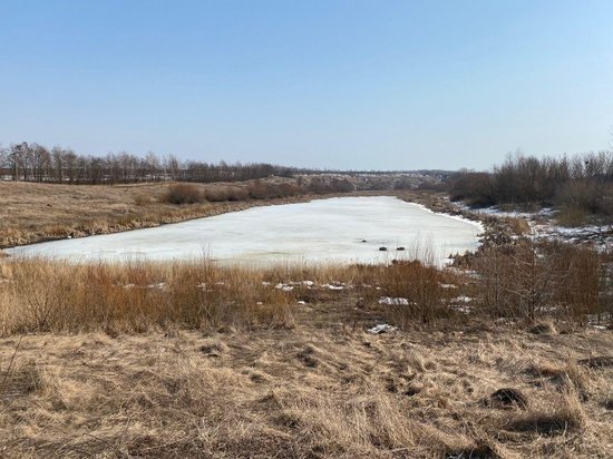 В Курской области в селе Ноздрачево собственник ГТС оштрафован за спуск пруда