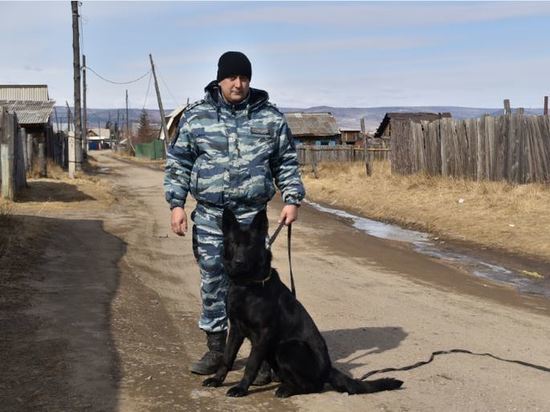 Овчарки Цаца и Алекс помогли полиции раскрыть кражу из дома под Читой