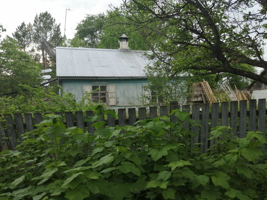 В Хабаровске нашлось 320 свободных участков под дачное хозяйство