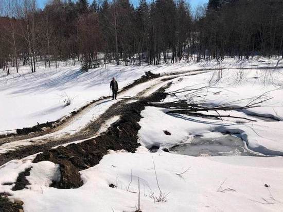 На Сахалине угольщики из Китая завалили нерестовую реку грунтом