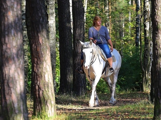 В Битцевском лесу появится обособленный маршрут для прогулок верхом