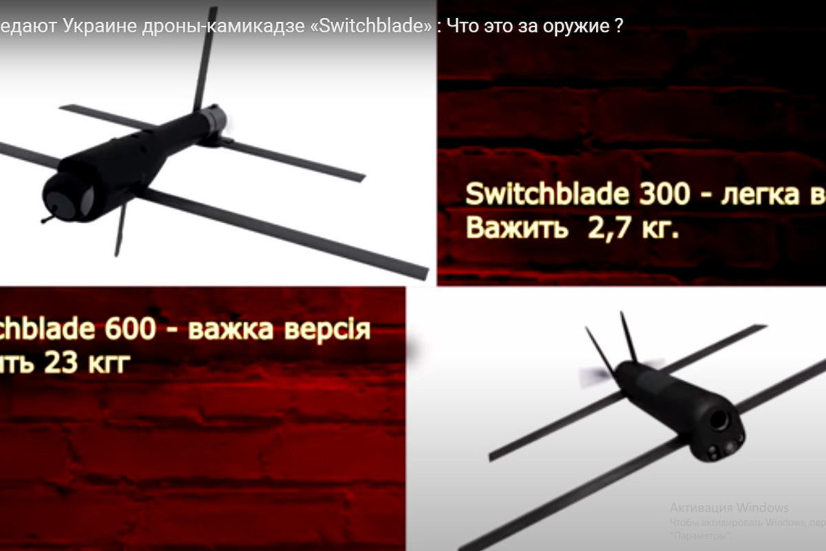 Дальность беспилотника камикадзе. БПЛА свичблейд 300. Беспилотники камикадзе США Switchblade. Дроны-камикадзе Switchblade 600. БПЛА свичблейд 600.