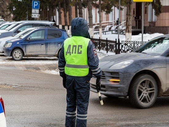 В Красноярске инспекторы ГИБДД остановили движение на улице Семафорной ради испуганной собаки