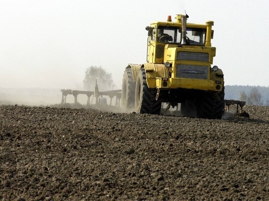 Bloomberg: перебои с поставками зерна из России и Украины угрожают мировой торговле