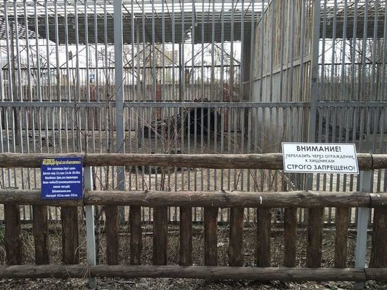 В мариупольский зоопарк привезли мясо для животных