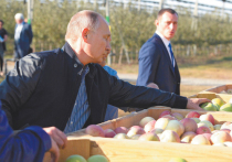 Владимир Путин пообещал россиянам цены на продукты питания внутри страны ниже, чем на мировом рынке