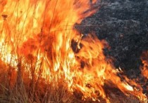 Засушливая весна в Приморском крае обозначила главную проблему – пожары в лесах.