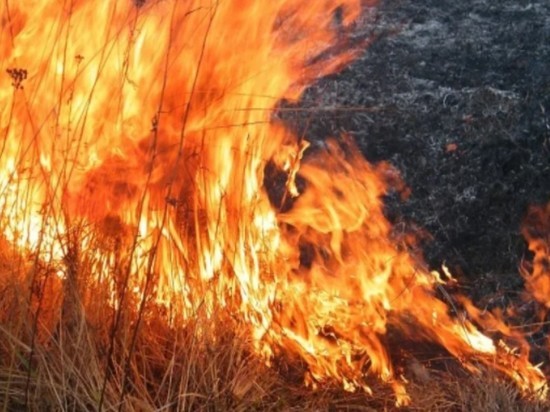 В Приморье из-за засухи продолжают гореть леса
