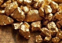 Эксперты Минвостокразвития и Минприроды разработали документ, согласно которому всем жителям Дальневосточных регионов предоставляется право на оформление участка земли и добычи золота или других драгоценных металлов