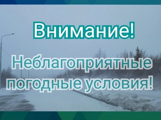 Глава Лабытнанги призвала жителей не выходить из дома