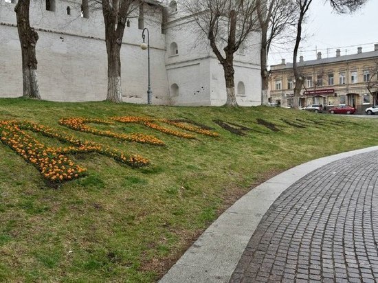 Астраханцам раздают бесплатно саженцы  деревьев