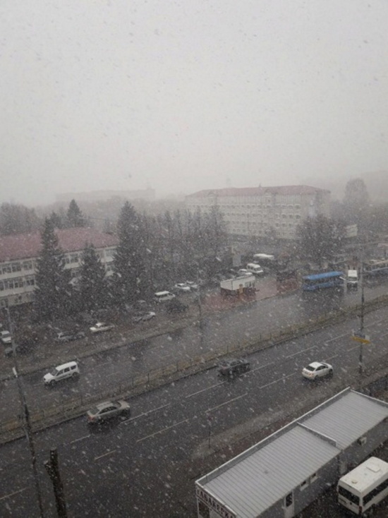 Брянск в среду накрыл снегопад