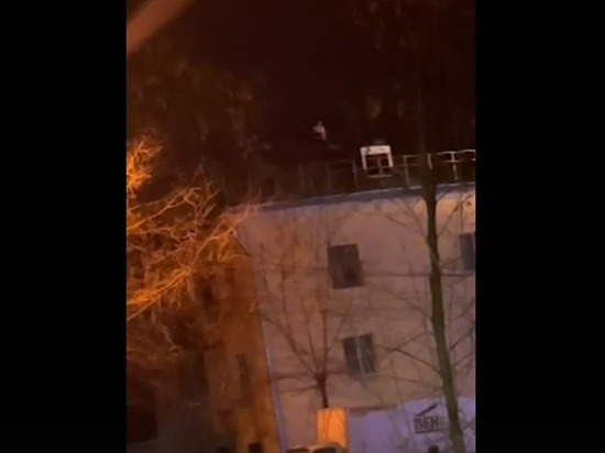 В Туле по крыше дома на улице Болдина разгуливал полуголый мужчина