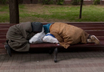 Проблема бездомных в нашей стране уже давно не нова, но до сих пор остается актуальной