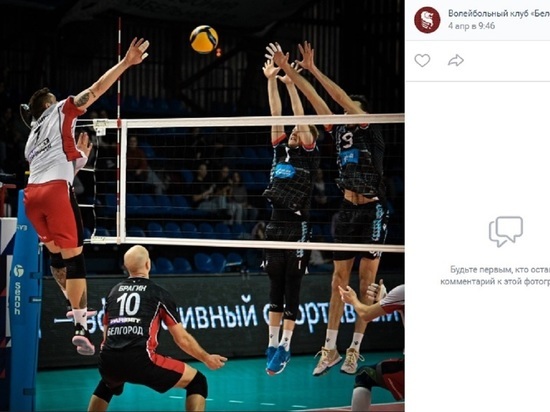 Белгородские волейболисты одержали двенадцатую победу в Суперлиге