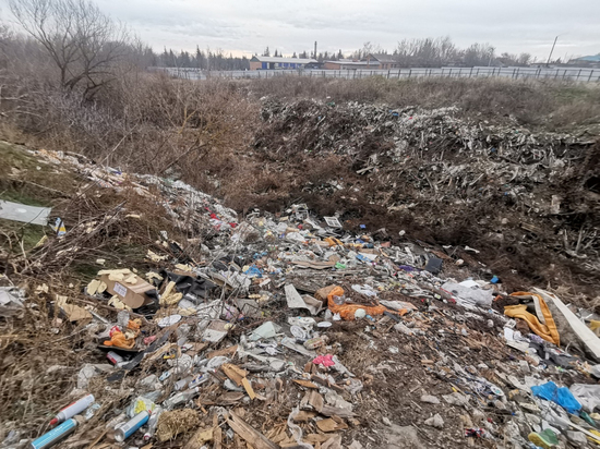 В Воронежской области обнаруженную 3 года назад свалку не ликвидировали до сих пор