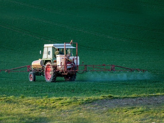 Организация в Тульской области нарушила закон по обращению с пестицидами