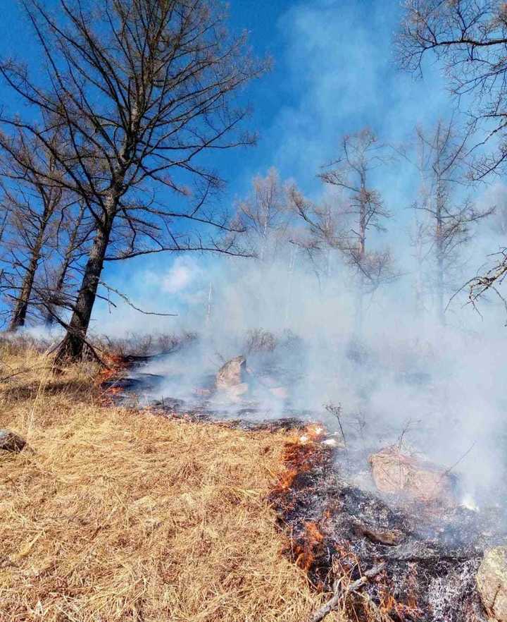 Погода в джидинском районе бурятия. Лесные пожары. Сгоревший лес. Потушенный Лесной пожар. Пожары в Бурятии.