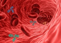 Американский профессор и сосудистый хирург Медицинского центра Балтимора Винсент Нури назвал три распространенных признака образования тромба в ноге