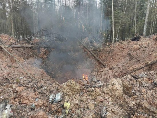 Губернатор Ленобласти показал фотографии с места крушения самолета в Лужском районе
