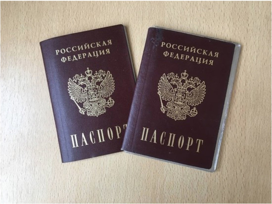 Миронов предложил мораторий на выдачу российских паспортов таджикистанцам