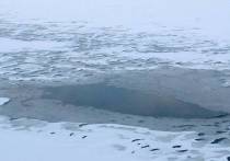 Два школьника провалились под лед на пруду поселения Первомайское в Новой Москве 8 апреля
