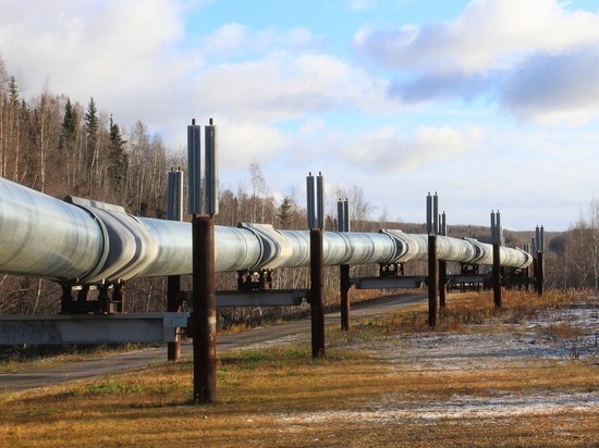 Daily Express: некоторые страны ЕС недовольны идеей эмбарго на российский газ