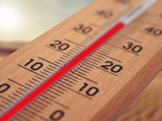 Потепление до +6 нагрянет в Мурманскую область