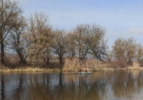 МЧС Белгородской области информирует о том, что уровень воды на реках области за сутки меняется от плюса к минусу и обратно