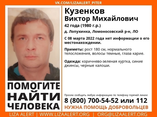 Пропавшего 8 марта мужчину в деревне Лопухинка до сих пор не нашли