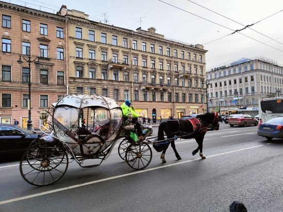 Авария с запряженной лошадьми каретой и иномаркой произошла на Благовещенском мосту