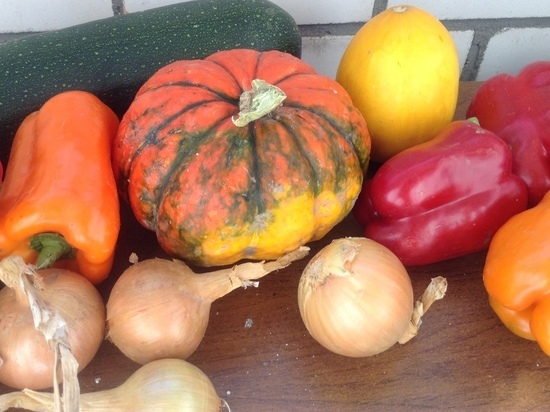 В Смоленской области обсудили состояние дел с посадкой овощей