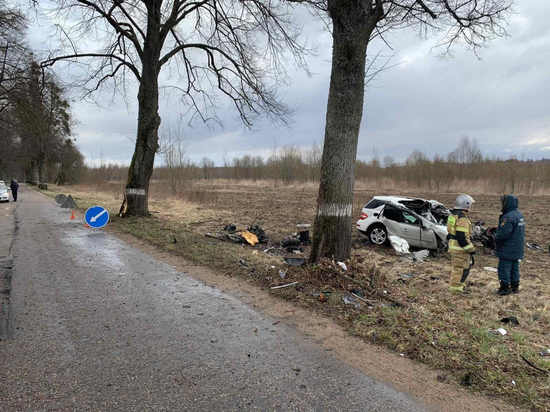 В Гвардейском районе 19-летний водитель погиб, врезавшись в дерево