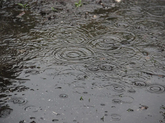 10 апреля в Рязанской области ожидается дождь и до +18 градусов