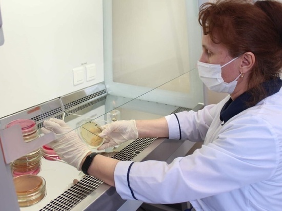 В Великих Луках заработала современная бактериологическая лаборатория