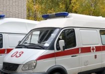 Женщина и двое детей пострадали в результате дорожного инцидента на северо-востоке Москвы.