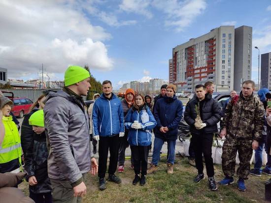Глава региона Антон Алиханов вместе с юными калининградцами высадил деревья на Елизаветинской улице