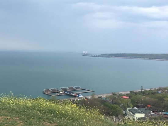 В мессенджерах разгоняют фейк о минировании Крымского моста